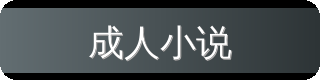 成人小说